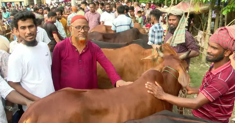 ভোলার গজারিয়া পশুর হাট